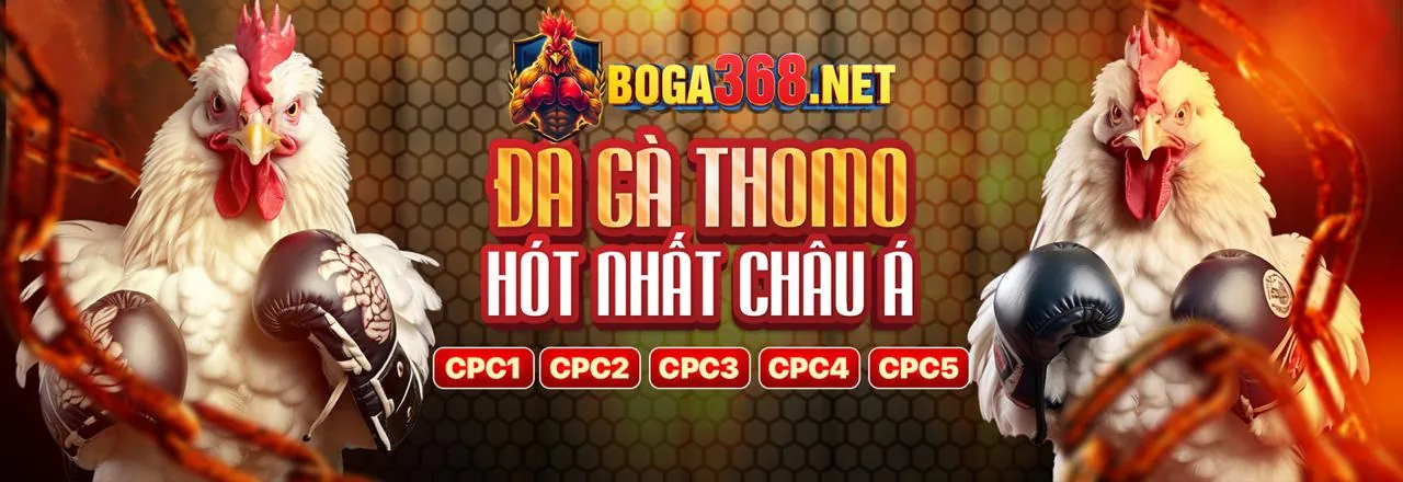 Đá gà Kubet88 Link Mới 2026